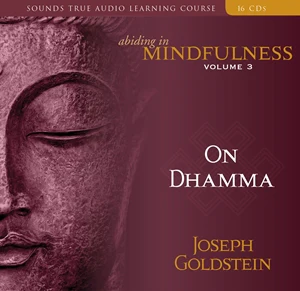 Abiding in Mindfulness Volume 3