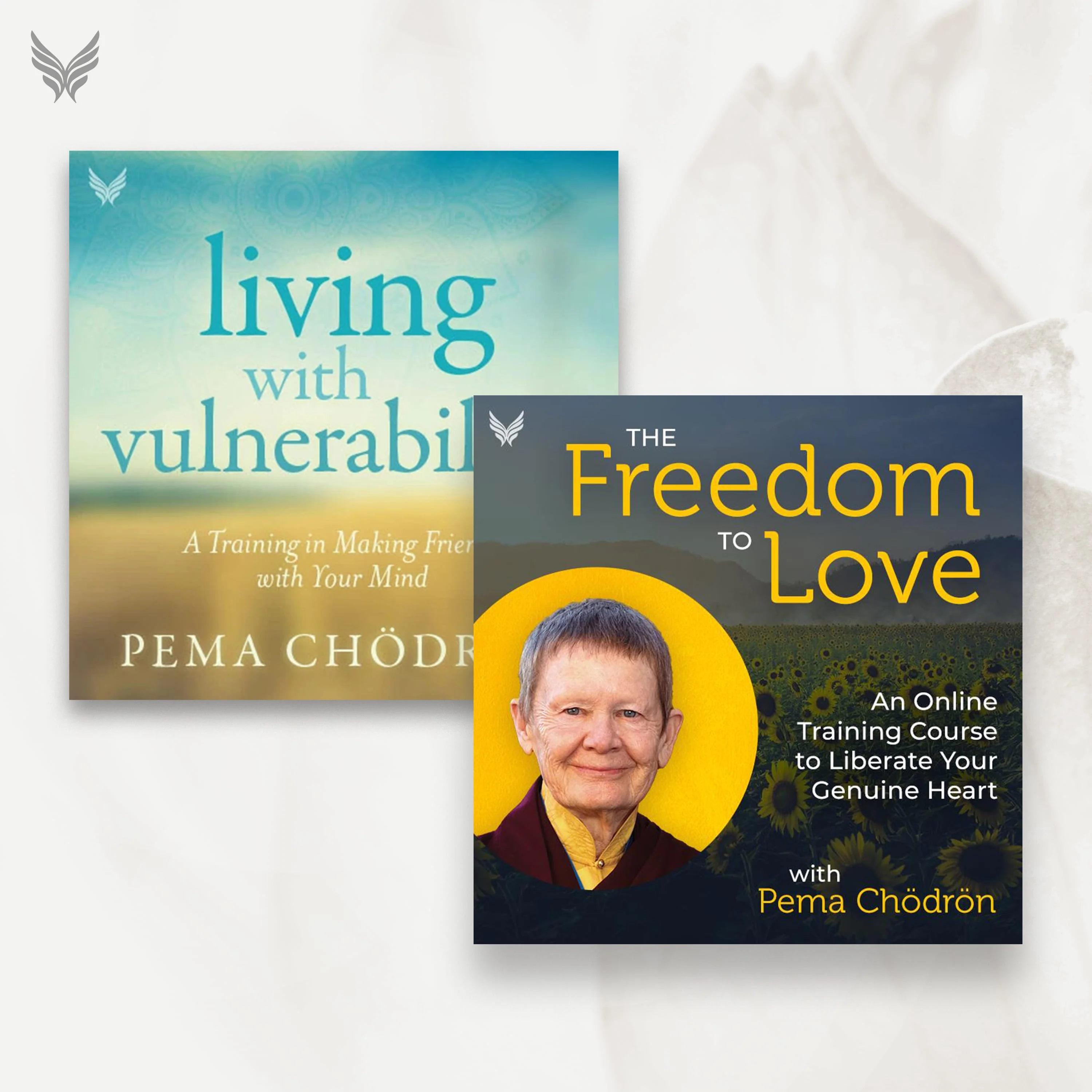 Freedom to Love and Living with Vulnerability