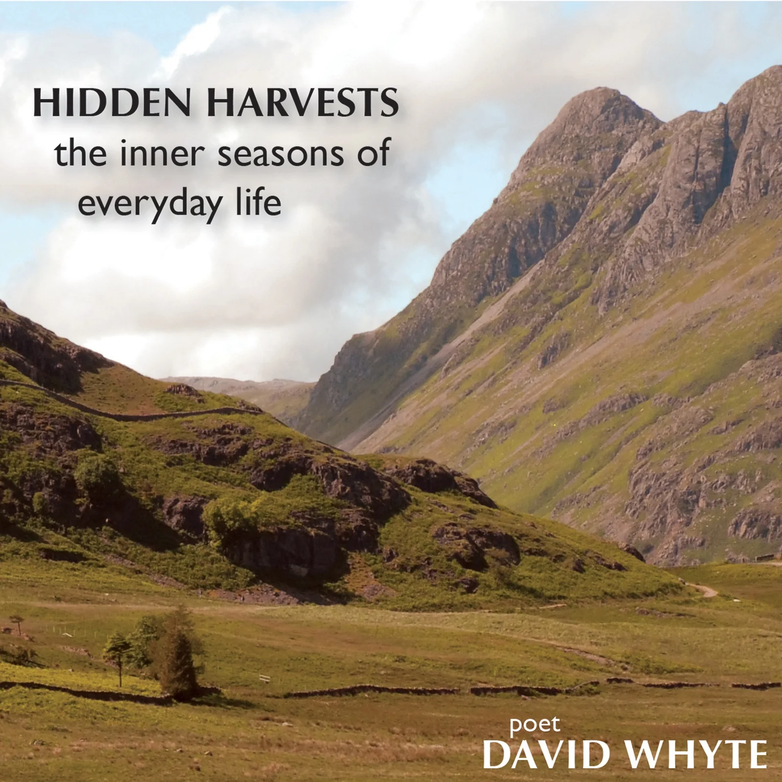 Hidden Harvests