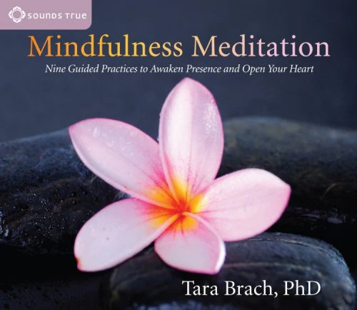 Mindfulness Meditation - Free Gift