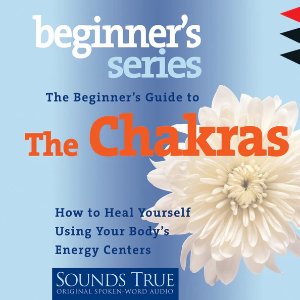 The Beginner's Guide To The Chakras