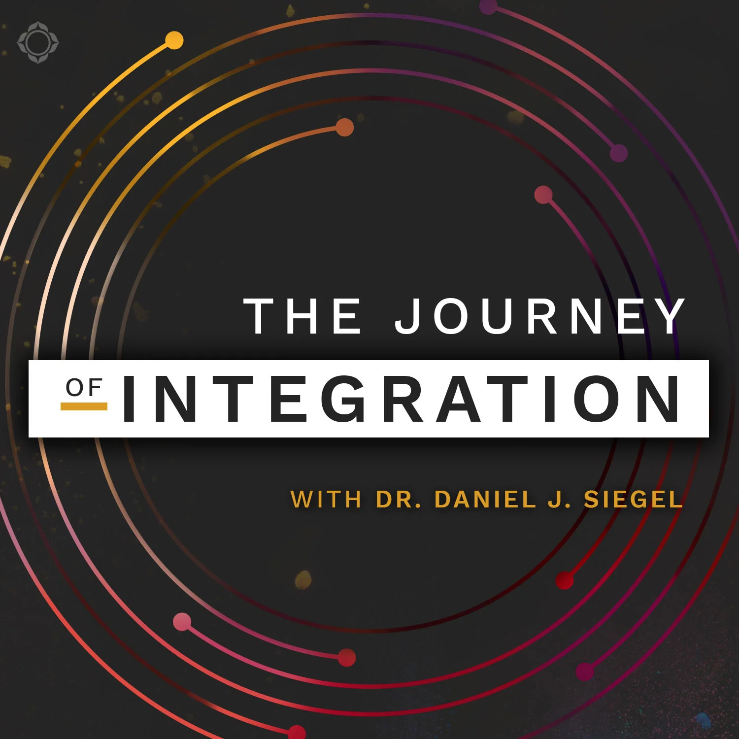 The Journey of Integration