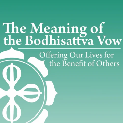 The Meaning of the Bodhisattva Vow