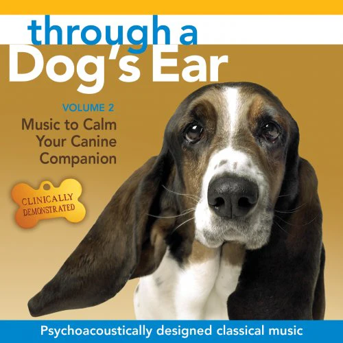 Through a Dog's Ear