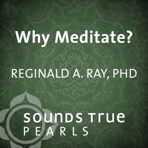 Why Meditate?